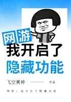 网游：我开启了隐藏功能