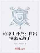 论率土开荒：自出洞来无敌手